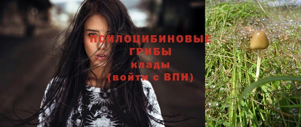 молекула духа Баксан