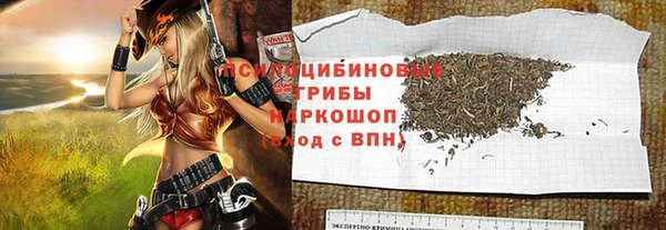 стафф Арсеньев