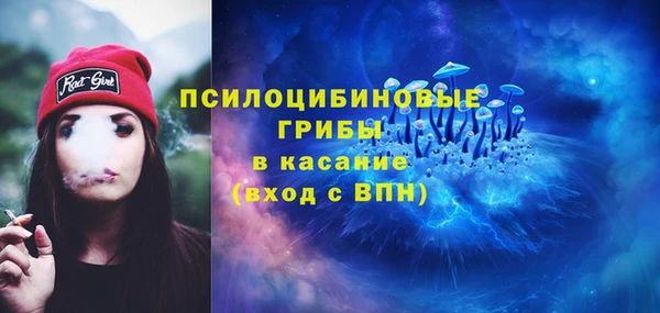 стафф Арсеньев