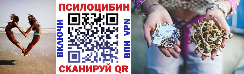 наркошоп  Баксан  Галлюциногенные грибы Cubensis 